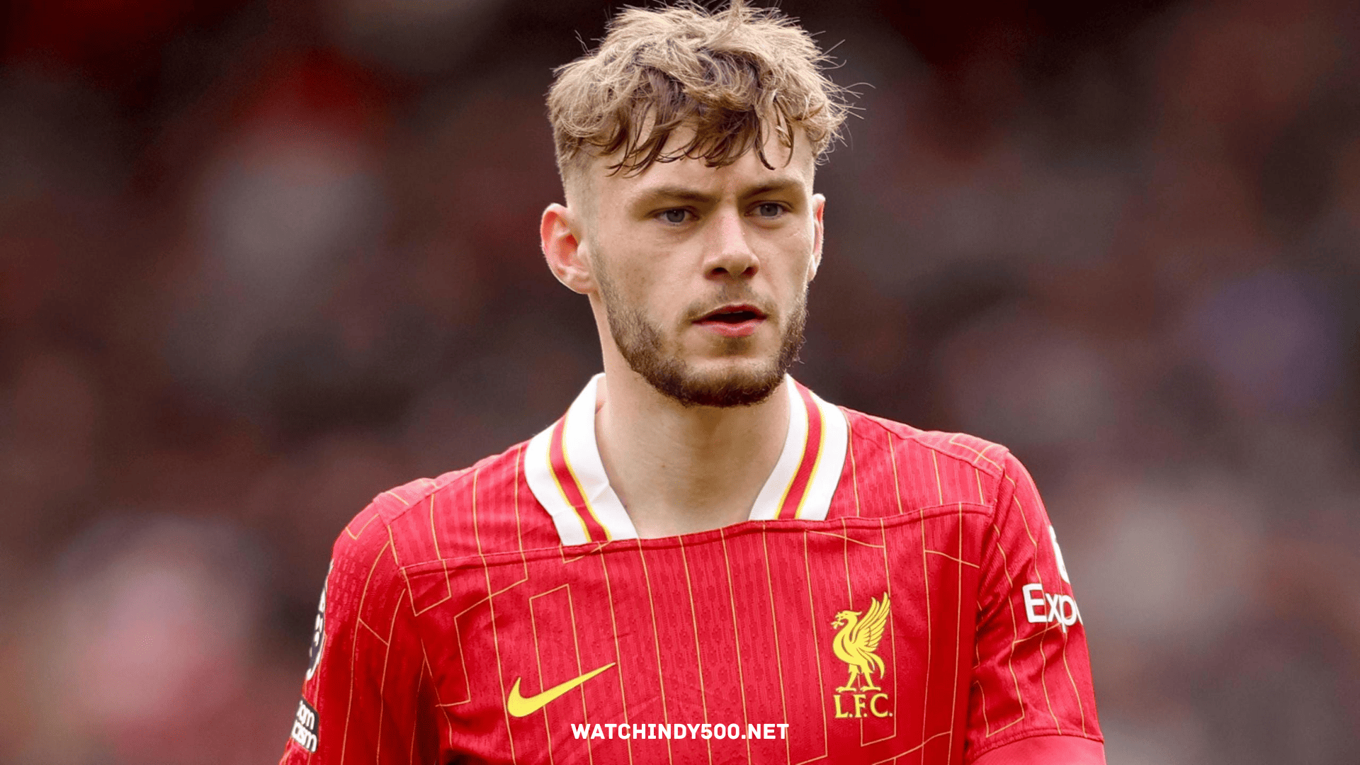 Conor Bradley: Bintang Muda Inggris yang Menjanjikan